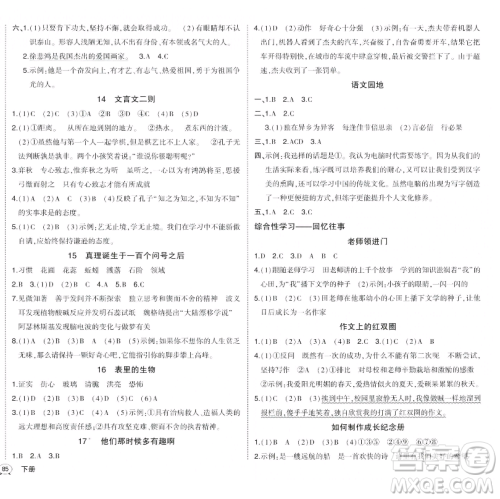 长江出版社2023黄冈状元成才路状元作业本六年级语文下册人教版福建专版