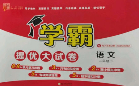 宁夏人民教育出版社2023学霸提优大试卷二年级语文下册人教版参考答案
