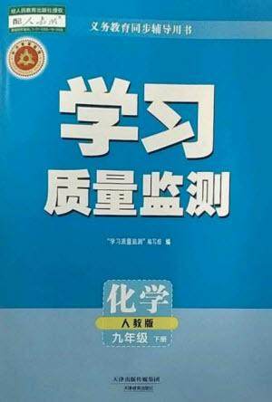 天津教育出版社2023学习质量监测九年级化学下册人教版参考答案