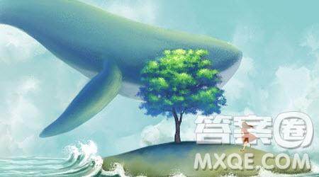 自由和规则材料作文800字 关于自由和规则的材料作文800字 自由和规则材料作文800字 关于自由和规则的材料作文800字