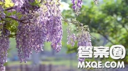 倾听__的心跳为题作文600字 关于倾听__的心跳为题的作文600字 倾听__的心跳为题作文600字 关于倾听__的心跳为题的作文600字