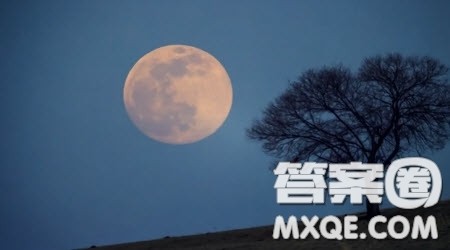 给奶奶的一封信为题作文600字 关于给奶奶的一封信为题目的作文600字