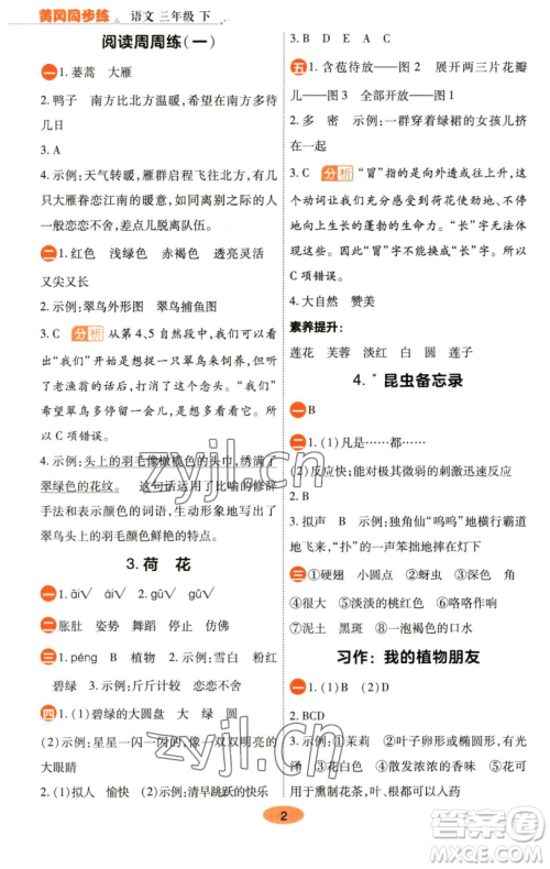 陕西师范大学出版总社有限公司2023黄冈同步练一日一练三年级语文下册人教版参考答案 陕西师范大学出版总社有限公司2023黄冈同步练一日一练三年级语文下册人教版参考答案