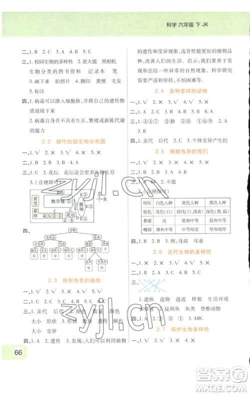 陕西师范大学出版总社有限公司2023黄冈同步练一日一练六年级科学下册教科版参考答案 陕西师范大学出版总社有限公司2023黄冈同步练一日一练六年级科学下册教科版参考答案