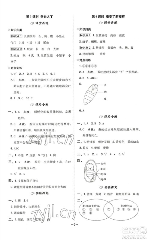 山西教育出版社2023综合应用创新题典中点三年级科学下册教科版参考答案
