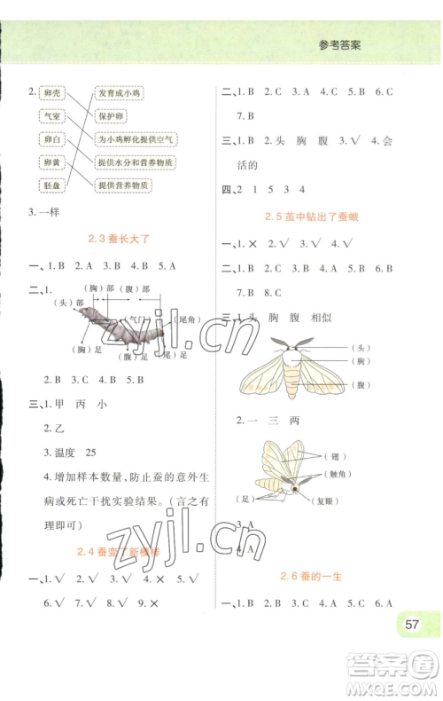 陕西师范大学出版总社有限公司2023黄冈同步练一日一练三年级科学下册教科版参考答案