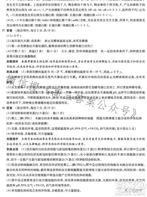 天一大联考2022-2023学年高中毕业班阶段性测试五理科综合试卷答案