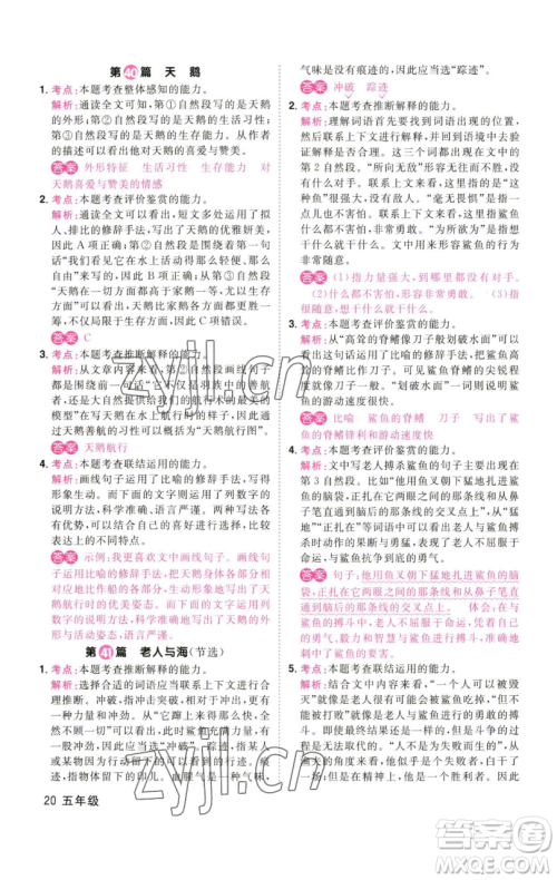 江西教育出版社2023百校名师阅读真题80篇五年级彩虹版参考答案 江西教育出版社2023百校名师阅读真题80篇五年级彩虹版参考答案