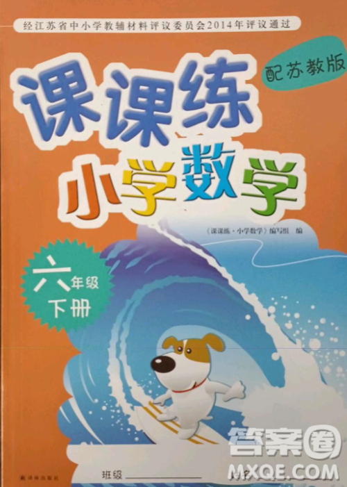 ​译林出版社2023课课练小学数学六年级下册苏教版答案