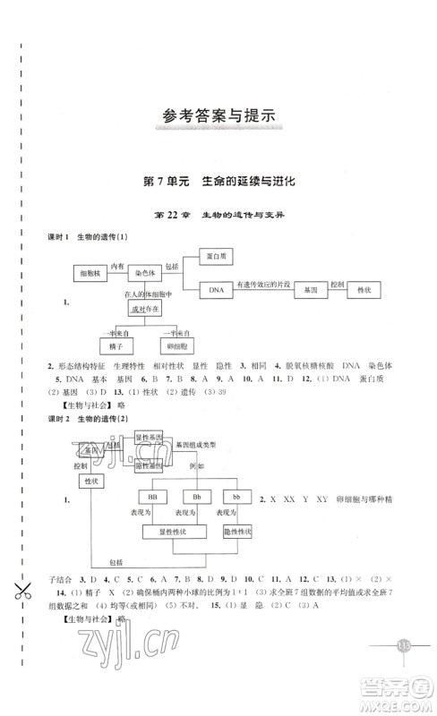 译林出版社2023课课练初中生物学八年级下册苏科版答案 译林出版社2023课课练初中生物学八年级下册苏科版答案
