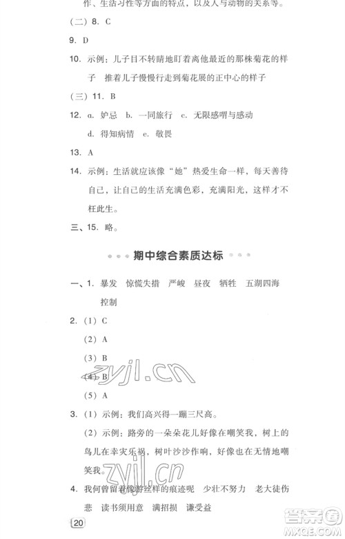 吉林教育出版社2023综合应用创新题典中点六年级语文下册人教版浙江专版参考答案