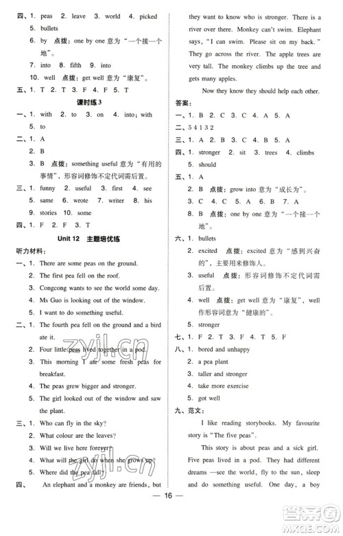 陕西人民教育出版社2023综合应用创新题典中点六年级英语下册三起点沪教牛津版参考答案