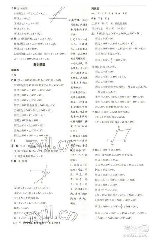 陕西人民教育出版社2023综合应用创新题典中点七年级数学下册人教版参考答案