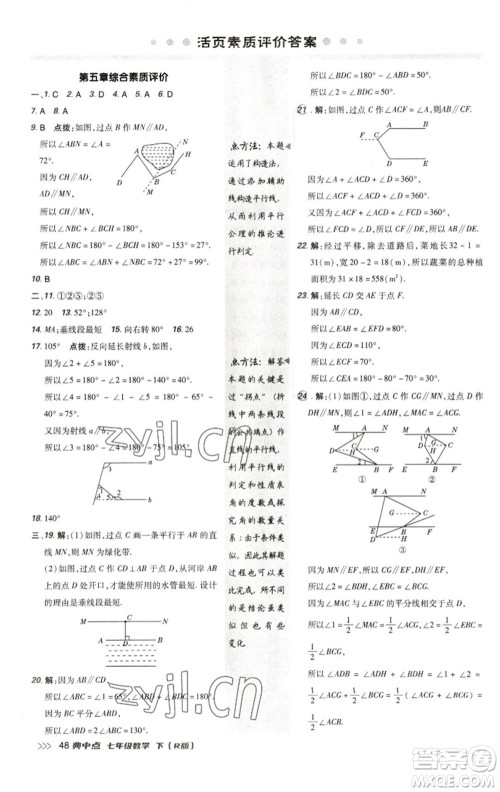 陕西人民教育出版社2023综合应用创新题典中点七年级数学下册人教版参考答案