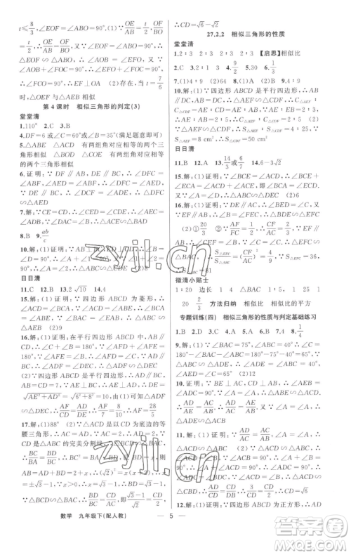 新疆青少年出版社2023四清导航九年级下册数学人教版参考答案 新疆青少年出版社2023四清导航九年级下册数学人教版参考答案