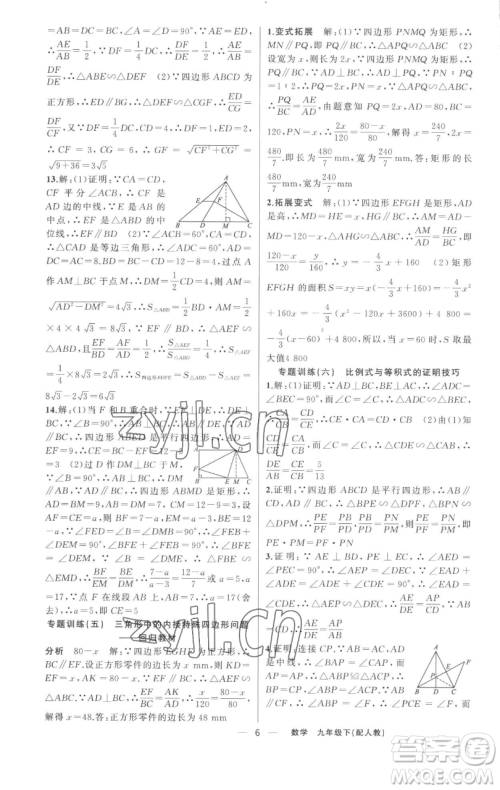 新疆青少年出版社2023四清导航九年级下册数学人教版参考答案 新疆青少年出版社2023四清导航九年级下册数学人教版参考答案