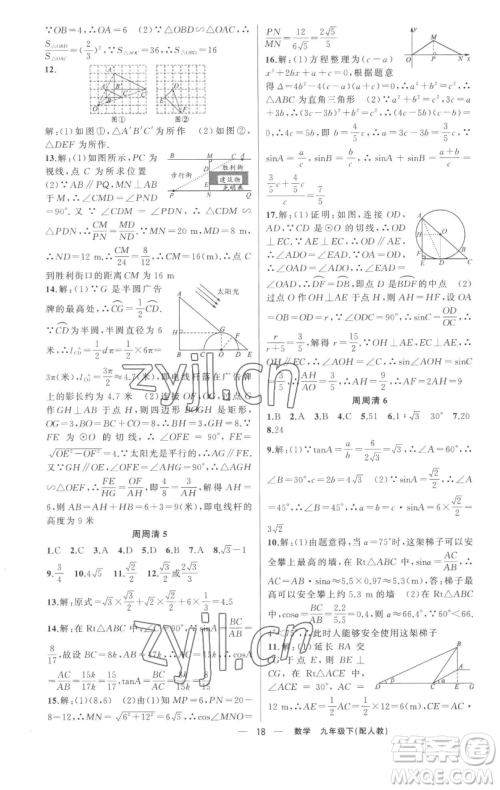 新疆青少年出版社2023四清导航九年级下册数学人教版参考答案 新疆青少年出版社2023四清导航九年级下册数学人教版参考答案