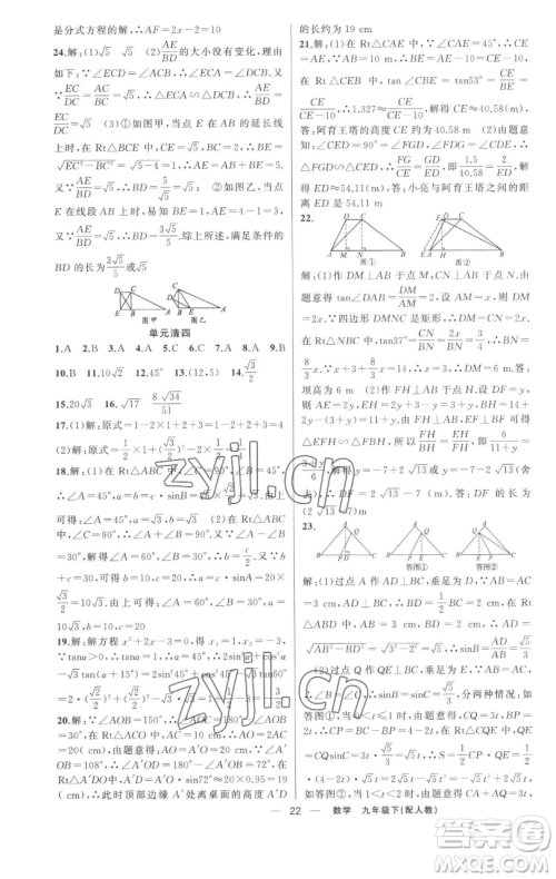 新疆青少年出版社2023四清导航九年级下册数学人教版参考答案 新疆青少年出版社2023四清导航九年级下册数学人教版参考答案