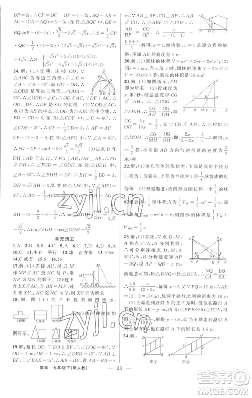 新疆青少年出版社2023四清导航九年级下册数学人教版参考答案 新疆青少年出版社2023四清导航九年级下册数学人教版参考答案