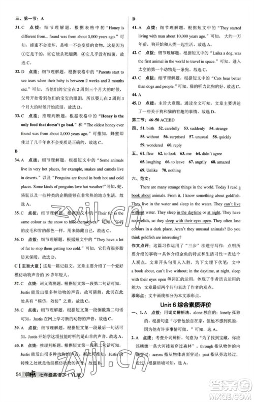 陕西人民教育出版社2023综合应用创新题典中点七年级英语下册译林版参考答案