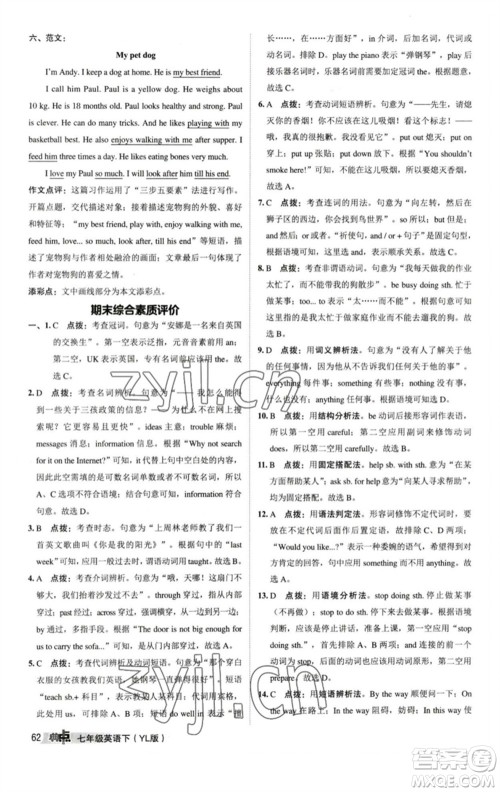 陕西人民教育出版社2023综合应用创新题典中点七年级英语下册译林版参考答案