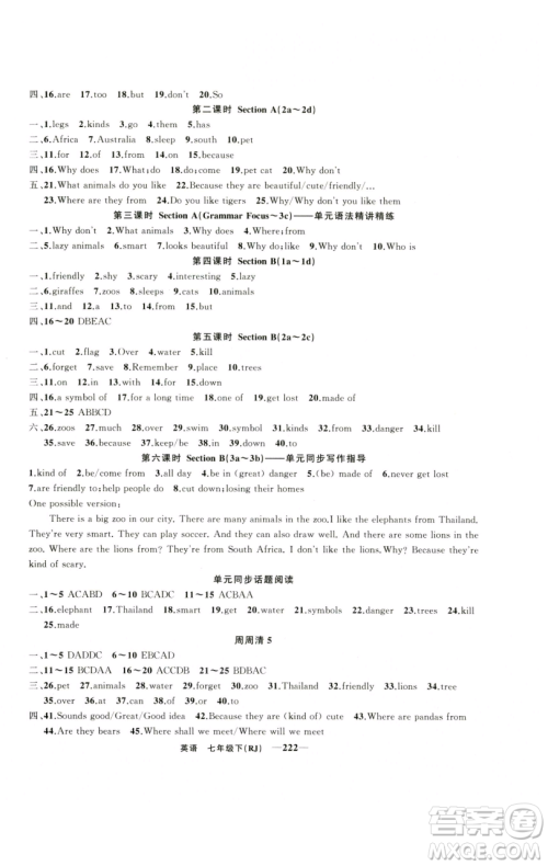 新疆青少年出版社2023四清导航七年级下册英语人教版河南专版参考答案 新疆青少年出版社2023四清导航七年级下册英语人教版河南专版参考答案