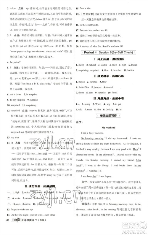 陕西人民教育出版社2023综合应用创新题典中点七年级英语下册人教版参考答案