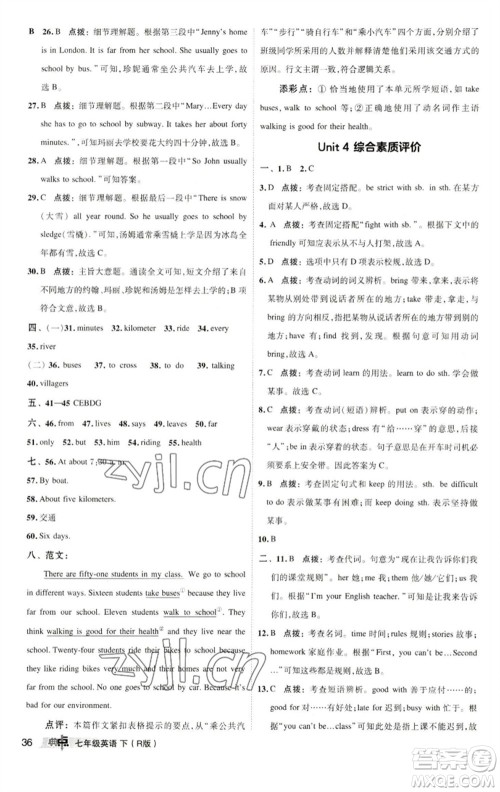 陕西人民教育出版社2023综合应用创新题典中点七年级英语下册人教版参考答案 陕西人民教育出版社2023综合应用创新题典中点七年级英语下册人教版参考答案