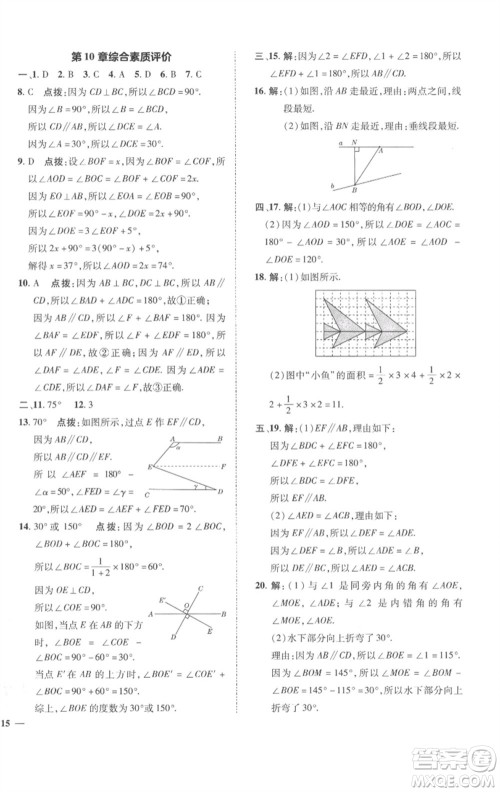 陕西人民教育出版社2023综合应用创新题典中点七年级数学下册沪科版参考答案