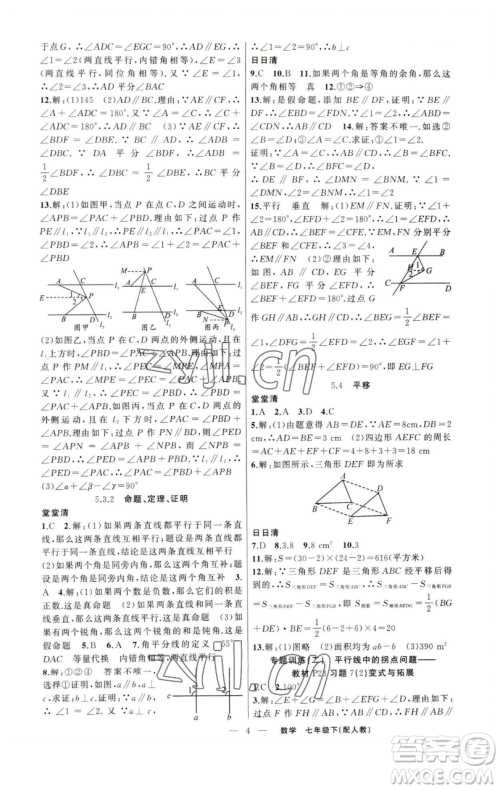 新疆青少年出版社2023四清导航七年级下册数学人教版参考答案