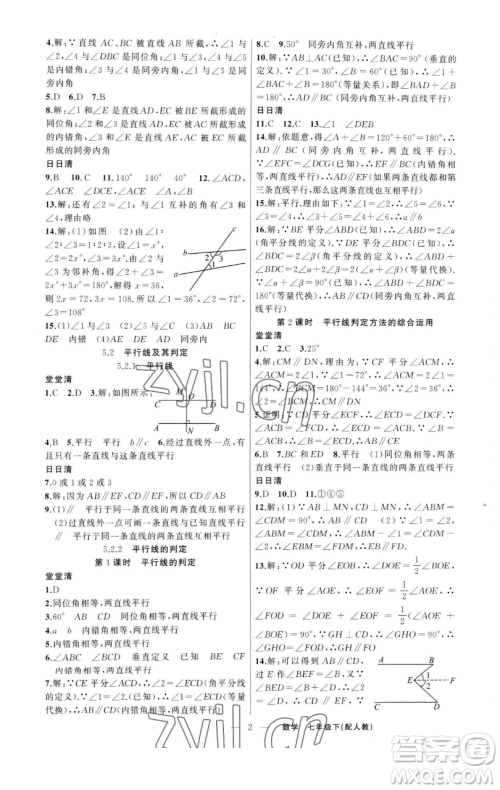 新疆青少年出版社2023四清导航七年级下册数学人教版参考答案