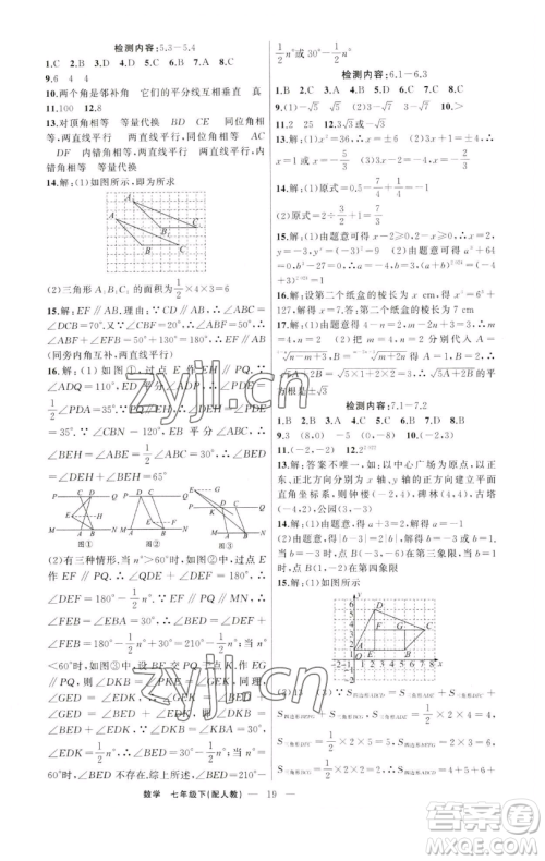 新疆青少年出版社2023四清导航七年级下册数学人教版参考答案