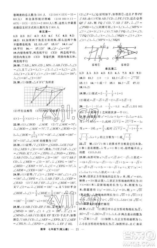 新疆青少年出版社2023四清导航七年级下册数学人教版参考答案