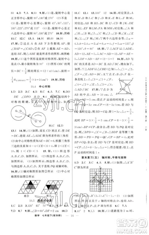 新疆青少年出版社2023四清导航七年级下册数学华师版参考答案