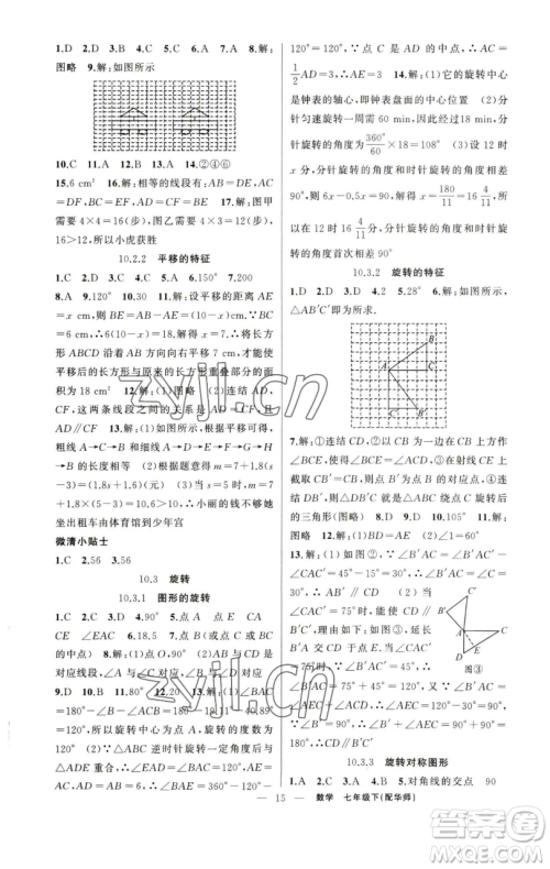 新疆青少年出版社2023四清导航七年级下册数学华师版参考答案