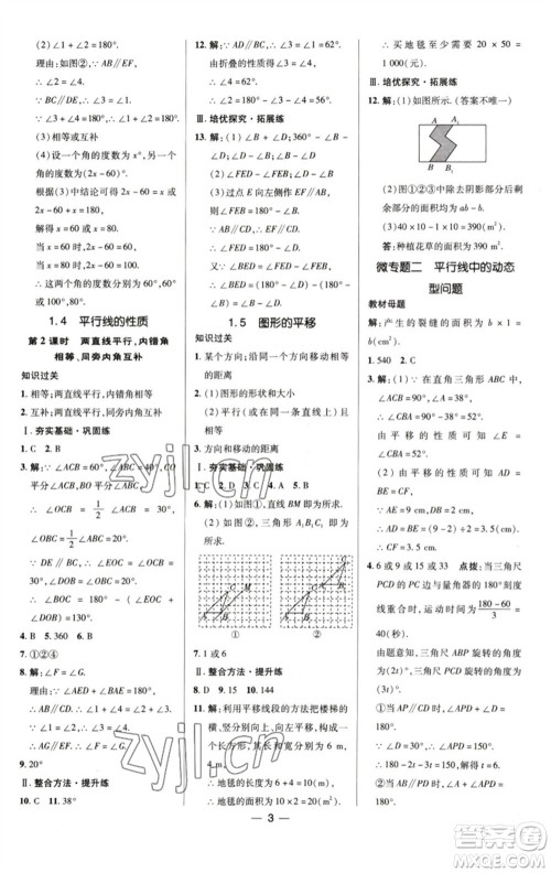 陕西人民教育出版社2023综合应用创新题典中点七年级数学下册浙教版参考答案