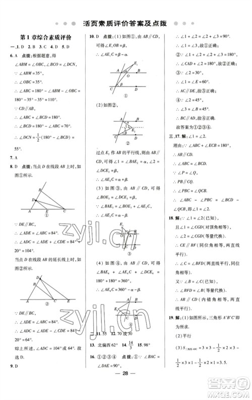 陕西人民教育出版社2023综合应用创新题典中点七年级数学下册浙教版参考答案