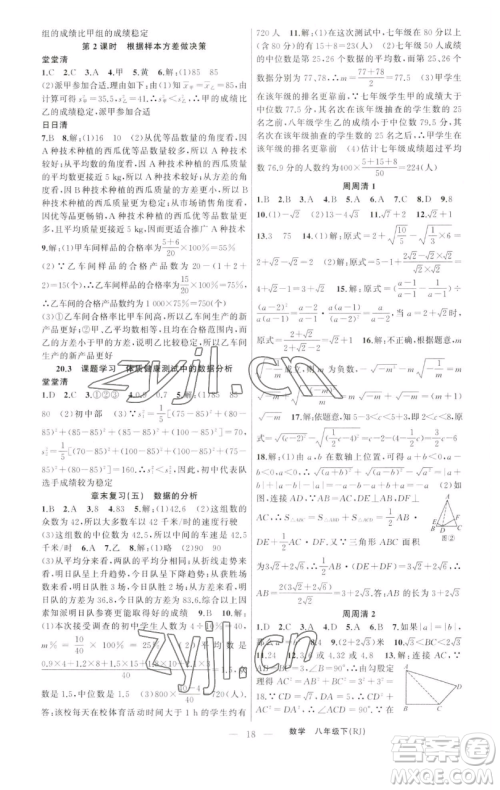 新疆青少年出版社2023四清导航八年级下册数学人教版河南专版参考答案