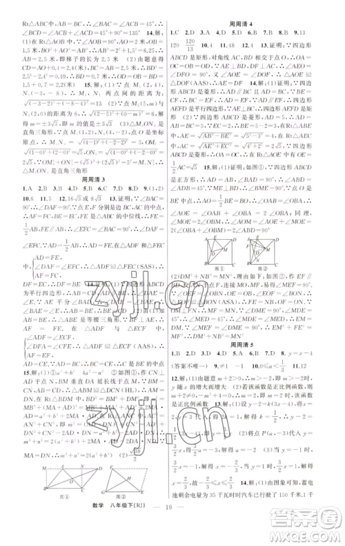 新疆青少年出版社2023四清导航八年级下册数学人教版河南专版参考答案