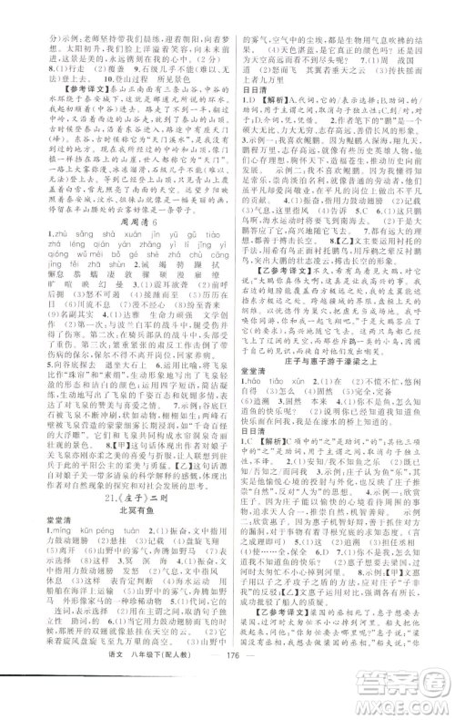新疆青少年出版社2023四清导航八年级下册语文人教版参考答案