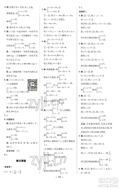 陕西人民教育出版社2023综合应用创新题典中点七年级数学下册华师大版参考答案