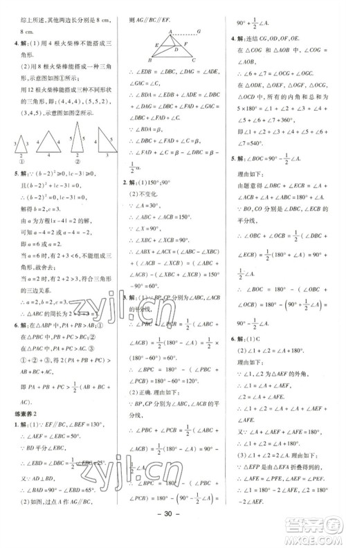 陕西人民教育出版社2023综合应用创新题典中点七年级数学下册华师大版参考答案