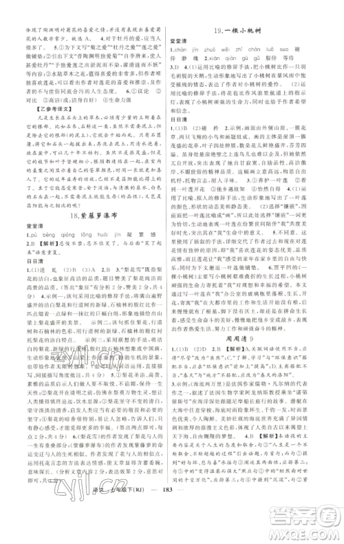 新疆青少年出版社2023四清导航七年级下册语文人教版河南专版参考答案 新疆青少年出版社2023四清导航七年级下册语文人教版河南专版参考答案