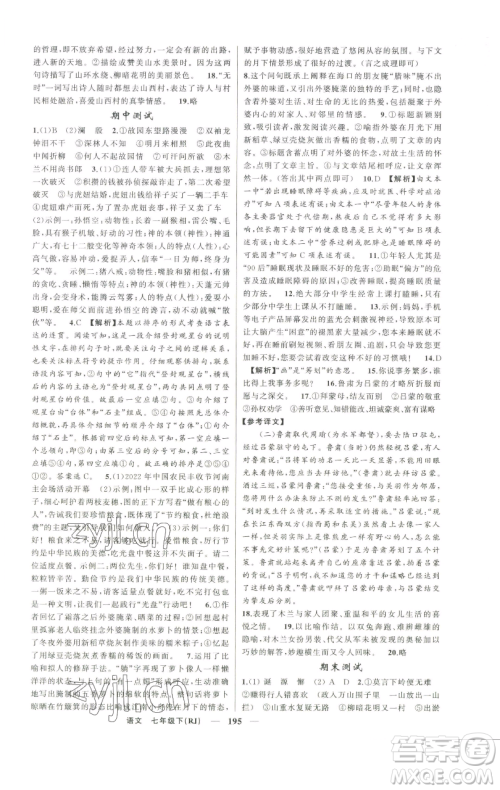 新疆青少年出版社2023四清导航七年级下册语文人教版河南专版参考答案