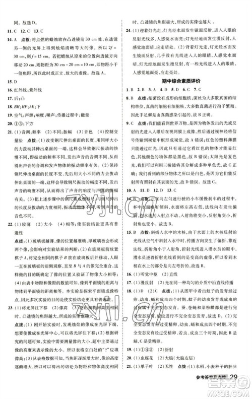 陕西人民教育出版社2023综合应用创新题典中点七年级科学下册浙教版参考答案
