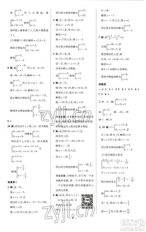 陕西人民教育出版社2023综合应用创新题典中点七年级数学下册湘教版参考答案