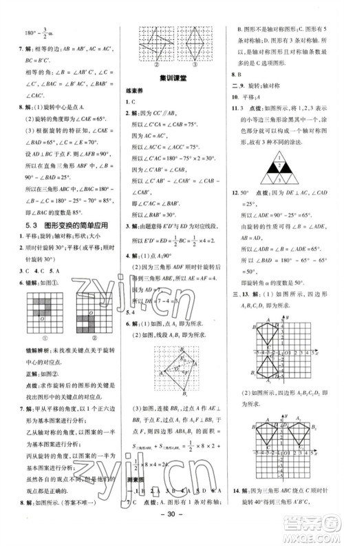 陕西人民教育出版社2023综合应用创新题典中点七年级数学下册湘教版参考答案