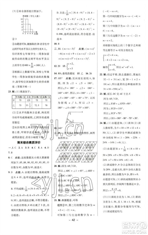 陕西人民教育出版社2023综合应用创新题典中点七年级数学下册湘教版参考答案