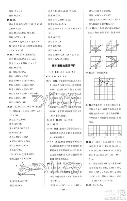 陕西人民教育出版社2023综合应用创新题典中点七年级数学下册湘教版参考答案