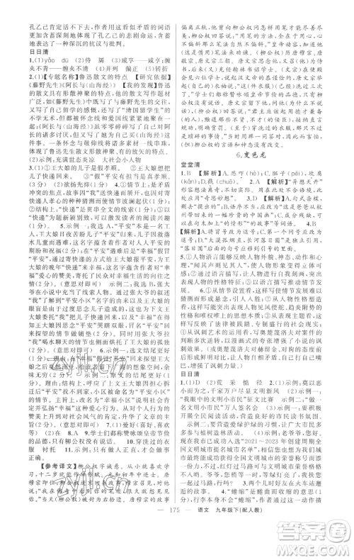 新疆青少年出版社2023四清导航九年级下册语文人教版参考答案